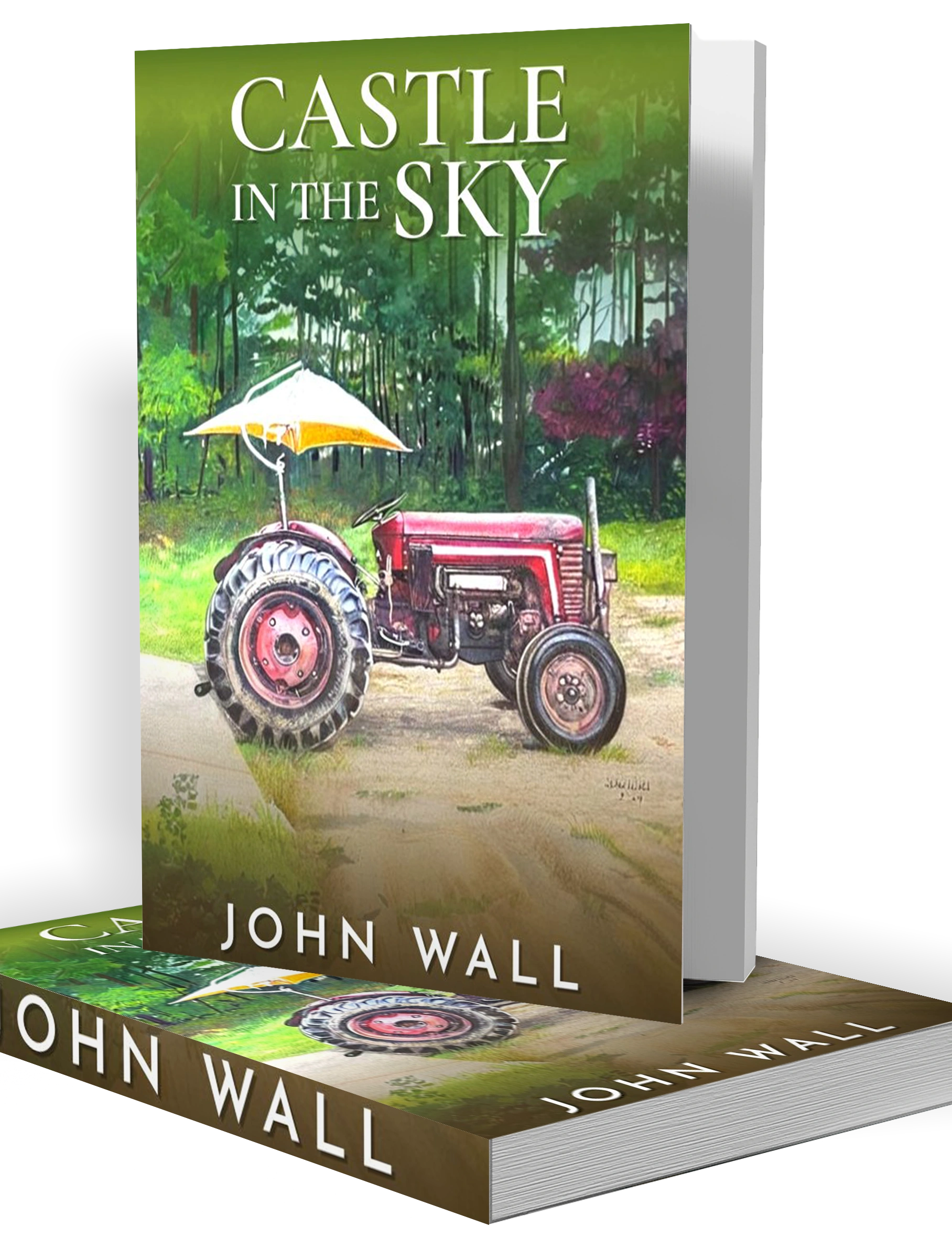 Castle in the Sky Book Cover