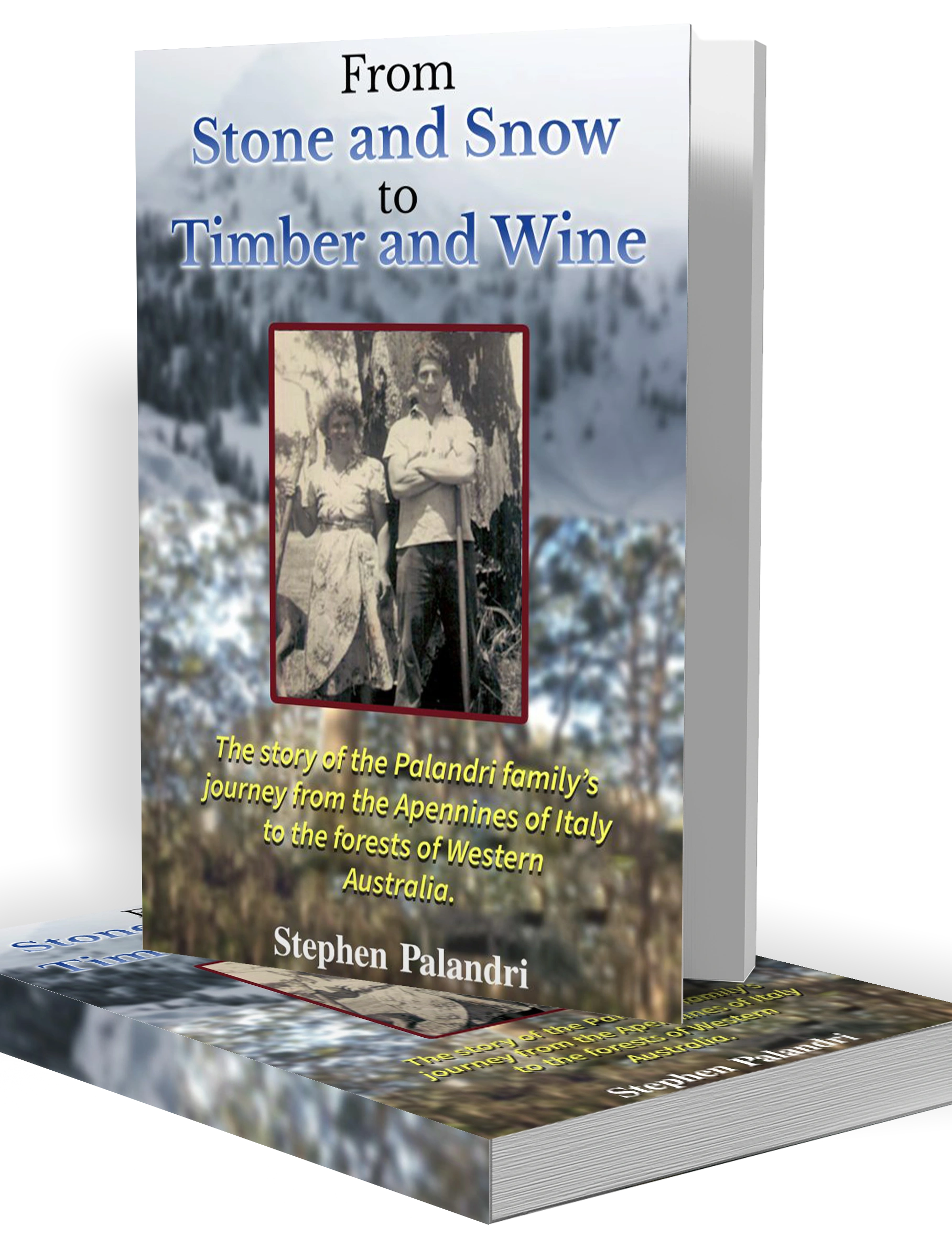 From Stone and Snow Book Cover